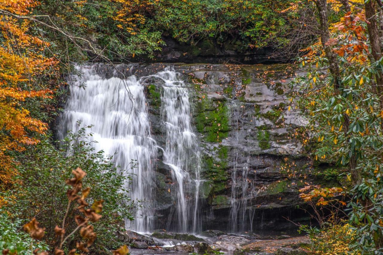Fox Hollow Little Cove المظهر الخارجي الصورة