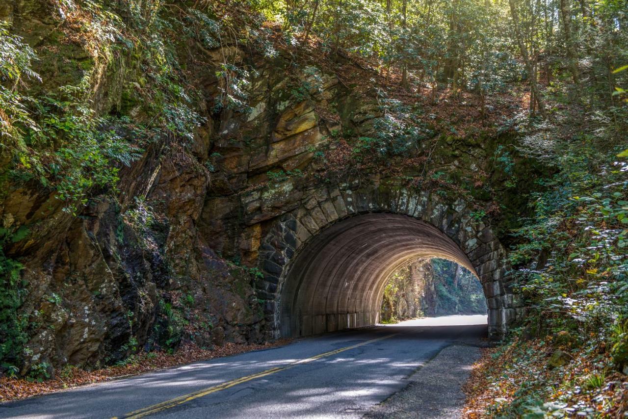 Fox Hollow Little Cove المظهر الخارجي الصورة